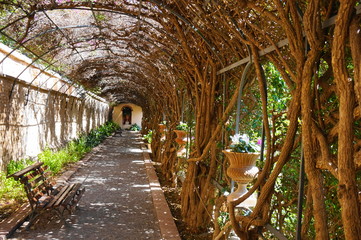 Jardines de Monforte, Valencia