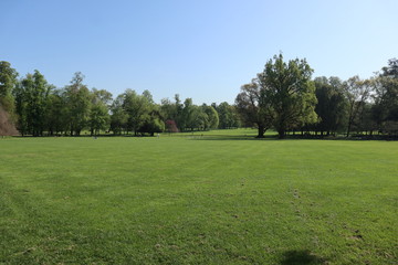 Fototapeta na wymiar Prato verde, parco di monza