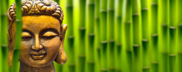 Poster Bouddha tête de bouddha doré dans le jardin de bambous