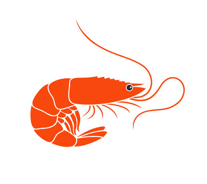 Shrimp Logo. Isolated shrimp on white background