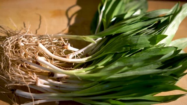 Sliding to the right with focus on a bunch of freshly picked ramps on a wooden cutting board.