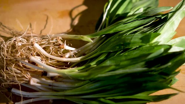 Sliding to the left with focus on a bunch of freshly picked ramps on a wooden cutting board.