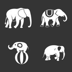 Elephant icon set vector white isolated on grey background 