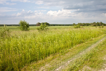 field