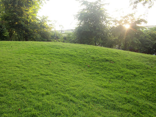 green grass field in city park