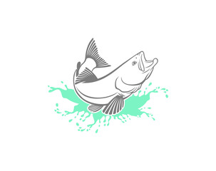 trout  fish