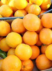 fresh oranges on the market