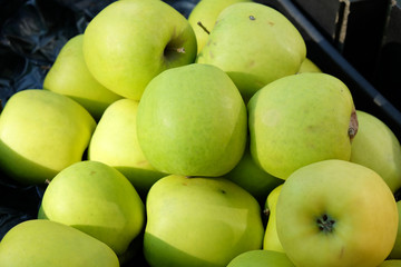 fresh apples on the market
