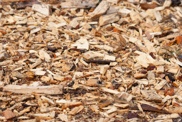 Stack of different wood