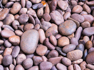Abstract pebble background.