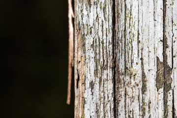 verwitterte und verkommene Holz Textur im Außenbereich