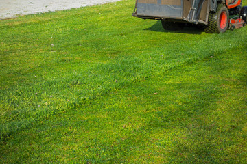 large motor mower mows green grass