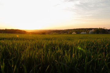 Coutryside landscape romantic sunrise.