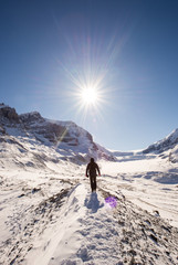 Fototapeta na wymiar Young man hiking at Athabasca Glacier