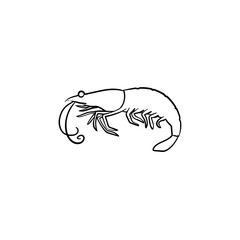 Shrimp hand drawn outline doodle icon. Vector sketch illustration of healthy seafood - shrimp or prawn for print, web, mobile and infographics isolated on white background.