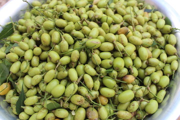 neem's fruits