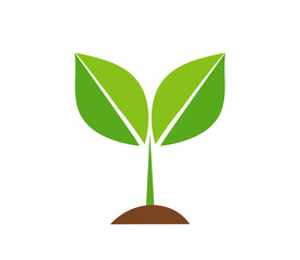 Spring plant icon.