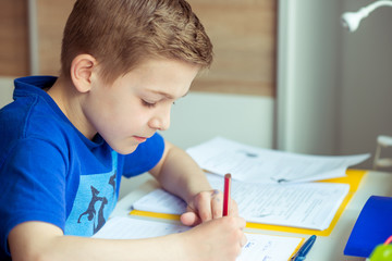 Intelligent boy makes homework in his room