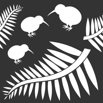 Kiwi bird and ferns background