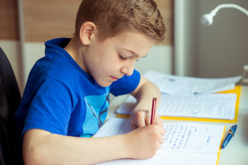 Naklejka premium Intelligent boy makes homework in his room
