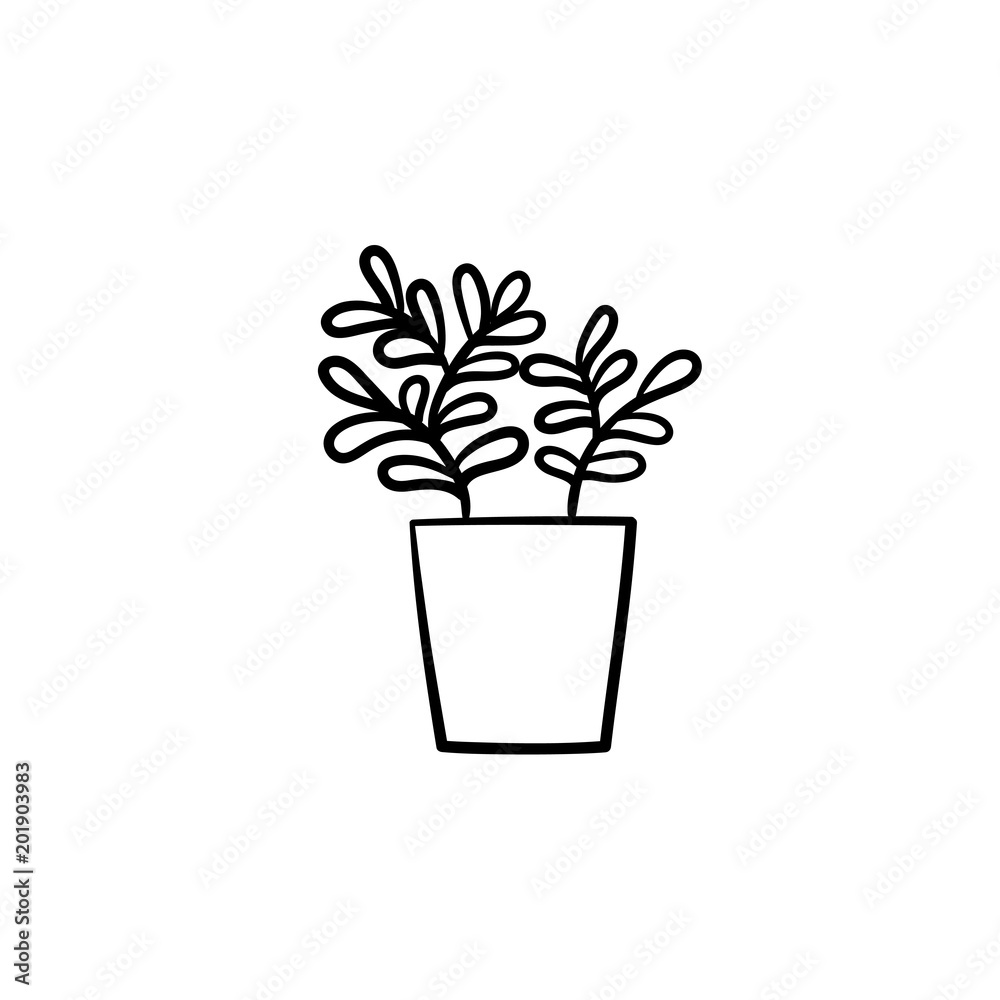 Canvas Prints Ficus hand drawn vector outline doodle icon. Decorative potted house plant sketch illustration for print, web, mobile and infographics isolated on white background.