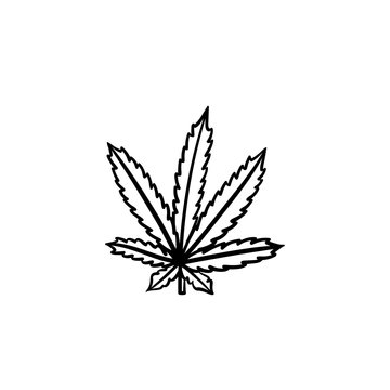 Marijuana leaf hand drawn vector outline doodle icon. Vector sketch illustration of marijuana leaf for print, web, mobile and infographics isolated on white background.
