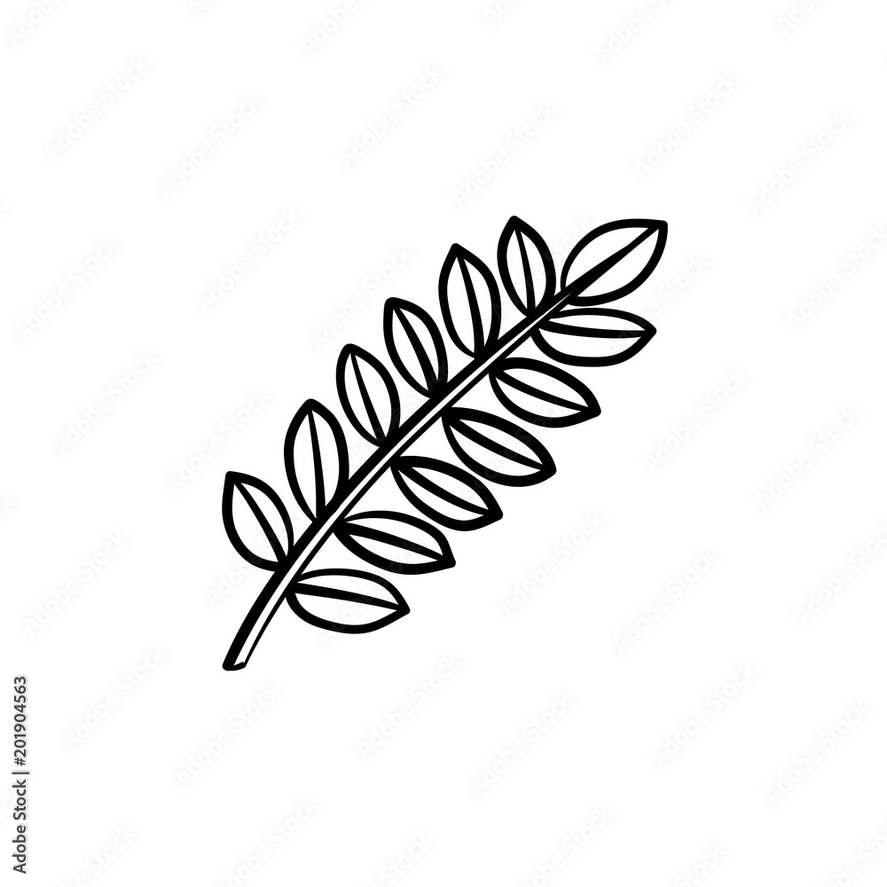 Wall mural Leaves on branch hand drawn vector outline doodle icon. Branch with leaves vector sketch illustration for print, web, mobile and infographics isolated on white background.