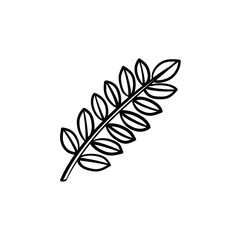 Leaves on branch hand drawn vector outline doodle icon. Branch with leaves vector sketch illustration for print, web, mobile and infographics isolated on white background.