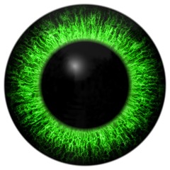 Sharp scary and colorful eye iris