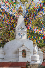 monkey temple kathmandu nepal