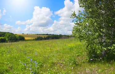 Beautiful view of green meadows and fields going to horizon on a sunny summer day.Country landscape with amazing clouds in blue sky.