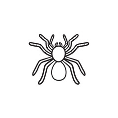 Spider tarantula hand drawn outline doodle icon. Insect spider tarantula vector sketch illustration for print, web, mobile and infographics isolated on white background.