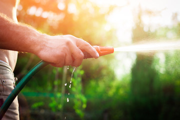 Watering plants in the garden, irrigating the soil. Garden work. The man is watering plants in the garden. A view of a man holding a coat. Saving water, care of plants.
