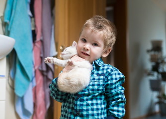 Boy, kitten, home, serious
