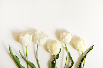 Feminine flower composition with bunch of "exotic emperor" white tulips on white background. Beautiful bouquet for mother's day laying on table. Women's day present. Copy space, top view, close up.