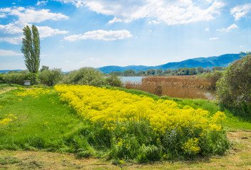 Rieti (Italy) - Natural Reserve of lakes Lungo and Ripasottile, with Terminillo mountain, at the...