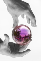 Fototapete bei efototapeten.de bestellen   