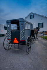 Fototapeta na wymiar View of the back of Amish buggy with a horse parked in a farm