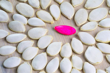 white pumpkin seeds among which one is red, different from all the others