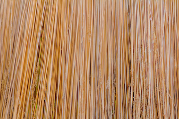 straw texture of the roof background design