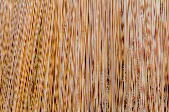 straw texture of the roof background design