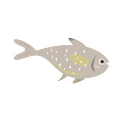 Cartoon fish icon on white background.