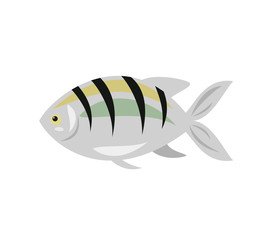 Cartoon fish icon on white background.