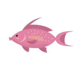 Cartoon fish icon on white background.