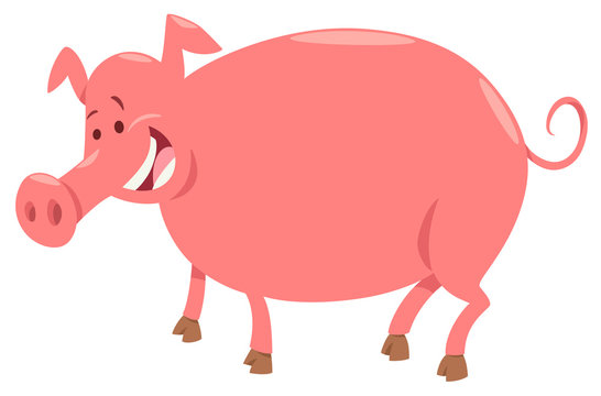pig farm animal character cartoon illustration