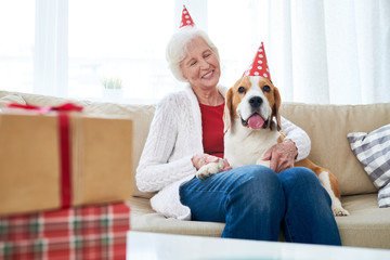 Cheerful excited beautiful senior female owner sitting on comfortable sofa and embracing funny Beagle dog in party hat while they celebrating birthday together at home