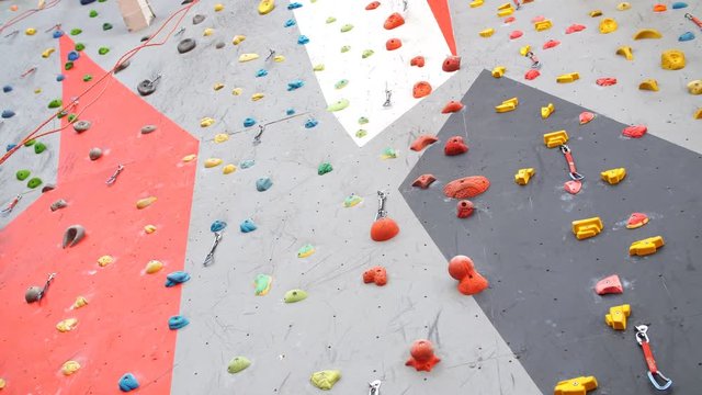 Climbing gym. Colorful footholds for training.