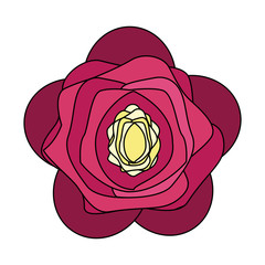 Beautiful flower symbol vector illustration graphic design