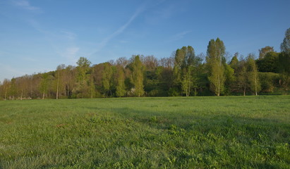 Begrünte Deponie Dörferblick in Berlin