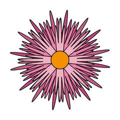 Obraz premium Beautiful flower symbol vector illustration graphic design